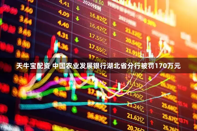 天牛宝配资 中国农业发展银行湖北省分行被罚170万元